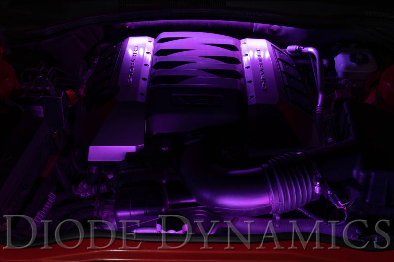 Diode Dynamics RGBW Engine Bay Strip Kit 4pc Multicolor Diode Dynamics RGBW Engine Bay Strip Kit 4pc Multicolor