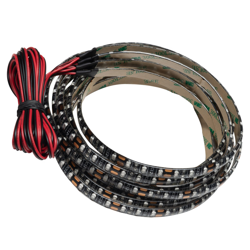 Photo - Primary Photo - Primary