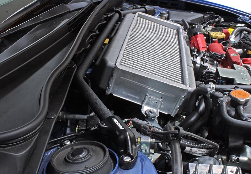 Photo - Primary Photo - Primary