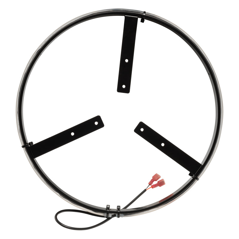 Oracle LED Illuminated Wheel Ring 3rd Brake Light - Red SEE WARRANTY Oracle LED Illuminated Wheel Ring 3rd Brake Light - Red SEE WARRANTY