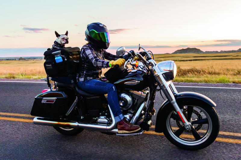 Kuryakyn Grand Pet Palace Kuryakyn Grand Pet Palace