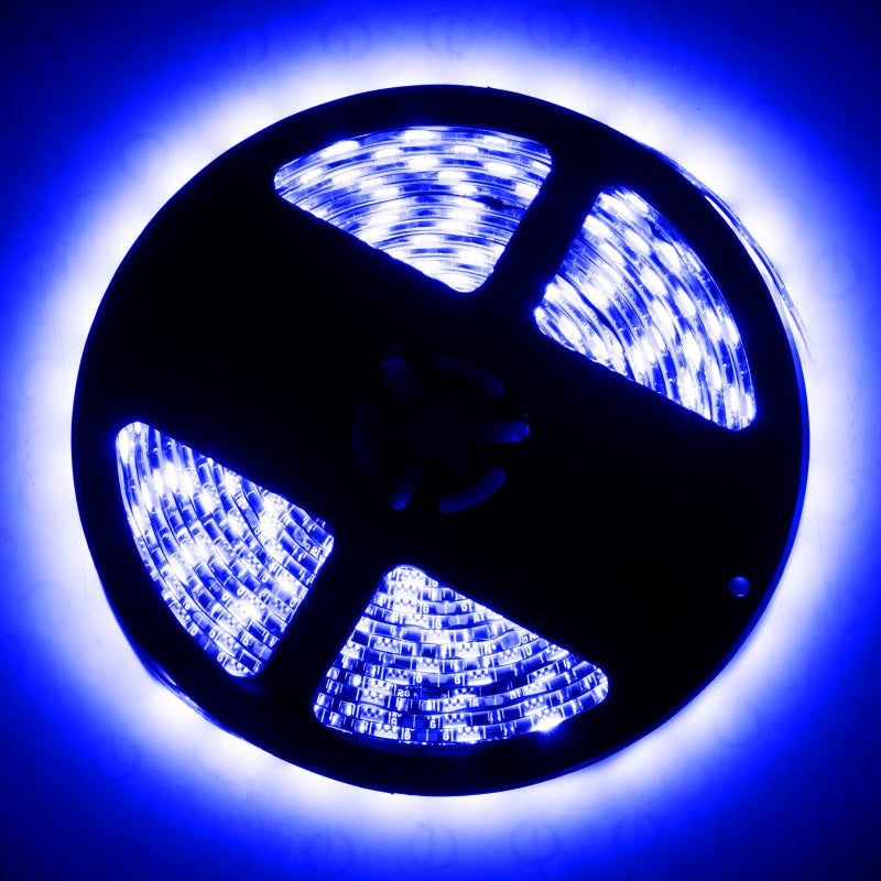 Oracle Exterior Flex LED 12in Strip - UV/Purple SEE WARRANTY Oracle Exterior Flex LED 12in Strip - UV/Purple SEE WARRANTY