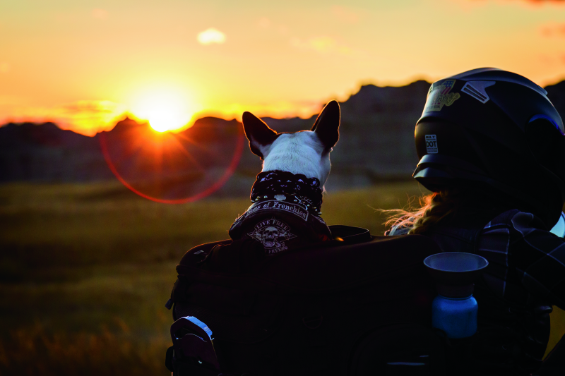 Kuryakyn Grand Pet Palace Kuryakyn Grand Pet Palace