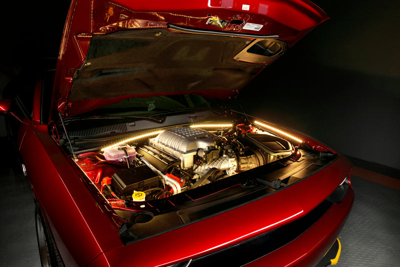Oracle Engine Bay 5050 SMD Kit - RGB ColorSHIFT SEE WARRANTY Oracle Engine Bay 5050 SMD Kit - RGB ColorSHIFT SEE WARRANTY