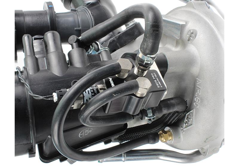 Photo - Primary Photo - Primary