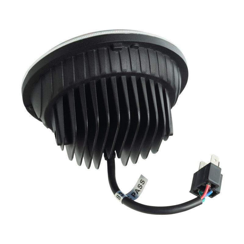 Photo - Primary Photo - Primary