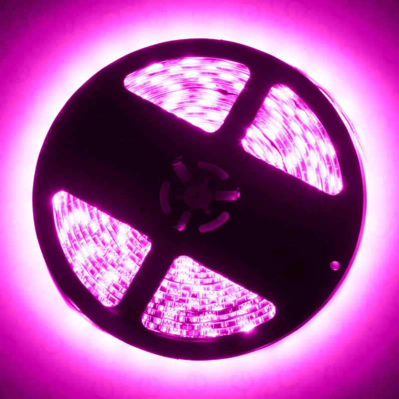 Oracle Interior Flex LED Spool - Pink SEE WARRANTY Oracle Interior Flex LED Spool - Pink SEE WARRANTY