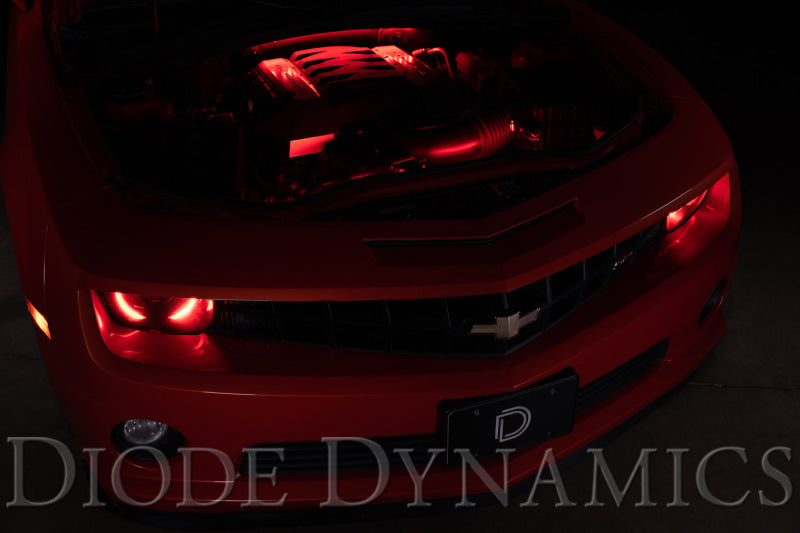 Diode Dynamics RGBW Engine Bay Strip Kit 4pc Multicolor Diode Dynamics RGBW Engine Bay Strip Kit 4pc Multicolor