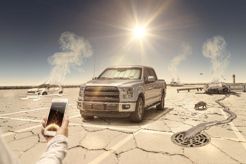 Photo - Primary Photo - Primary