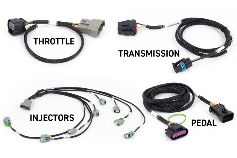 Haltech NEXUS Rebel LS Gen IV 6-Pin DBW Throttle/EV6 Injectors/Manual Transmission Haltech NEXUS Rebel LS Gen IV 6-Pin DBW Throttle/EV6 Injectors/Manual Transmission