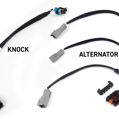 Haltech NEXUS Rebel LS Gen III Cable Throttle/EV1 Injectors/Manual Transmission
