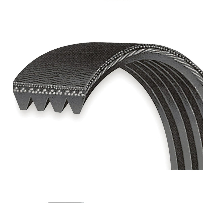 VMP Performance Belt 4-Rib Accessory for 5.0/5.2L w/ /ATI Balancer VMP Performance Belt 4-Rib Accessory for 5.0/5.2L w/ /ATI Balancer