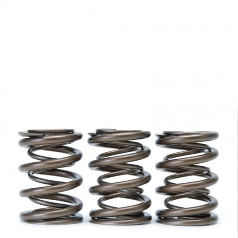 Skunk2 Tuner Series Honda/Acura (H22A/F20B) DOHC VTEC Alpha Valve Spring Set (Dual Springs) Skunk2 Tuner Series Honda/Acura (H22A/F20B) DOHC VTEC Alpha Valve Spring Set (Dual Springs)