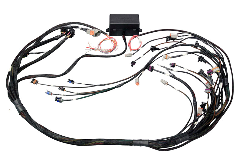Haltech GM GEN IV LSX (LS2/LS3 Non DBW) Elite 2000/2500 Terminated Harness w/EV6 Inj Connectors Haltech GM GEN IV LSX (LS2/LS3 Non DBW) Elite 2000/2500 Terminated Harness w/EV6 Inj Connectors