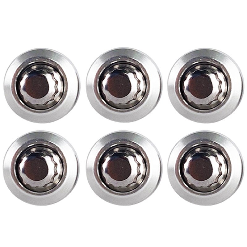 BLOX Racing New Fender Washers Kit M6 12pt - 6pc Large Diameter Silver BLOX Racing New Fender Washers Kit M6 12pt - 6pc Large Diameter Silver