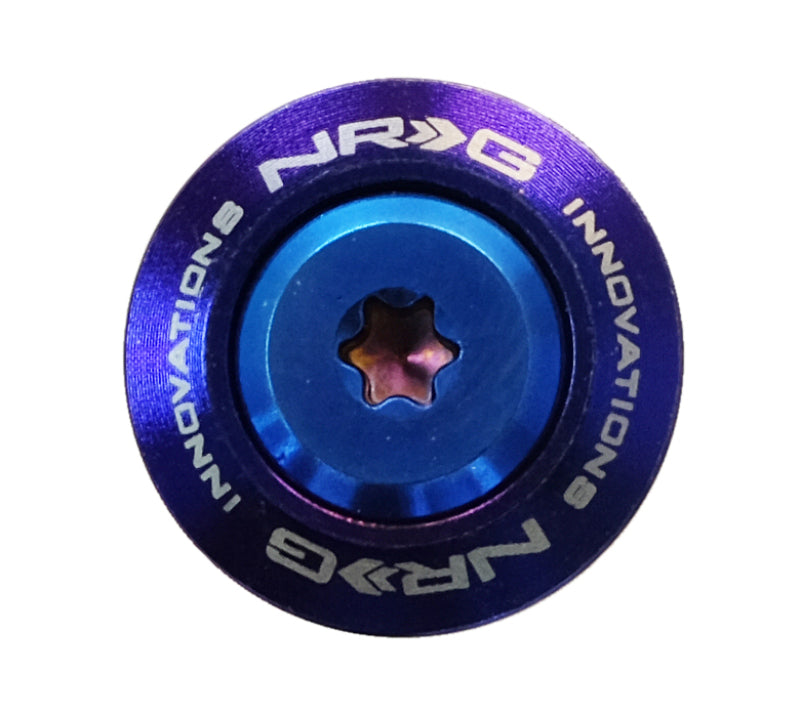 NRG Fender Washer Kit (TI Series) M6 Bolts For Plastic (TI Burn Washer/TI Burn Screw) - Set of 10 NRG Fender Washer Kit (TI Series) M6 Bolts For Plastic (TI Burn Washer/TI Burn Screw) - Set of 10