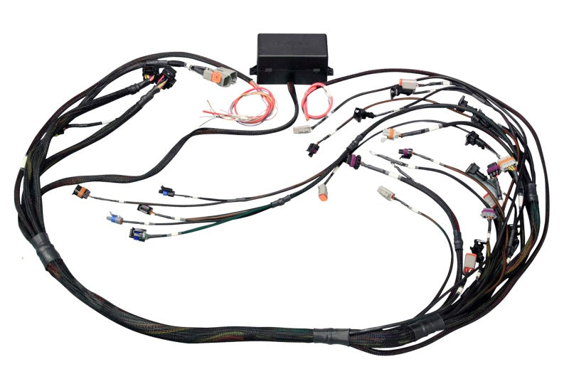 Haltech GM GEN III LS1 & LS6 (Non DBW) Elite 2000/2500 Terminated Harness w/EV1 Injector Connectors Haltech GM GEN III LS1 & LS6 (Non DBW) Elite 2000/2500 Terminated Harness w/EV1 Injector Connectors