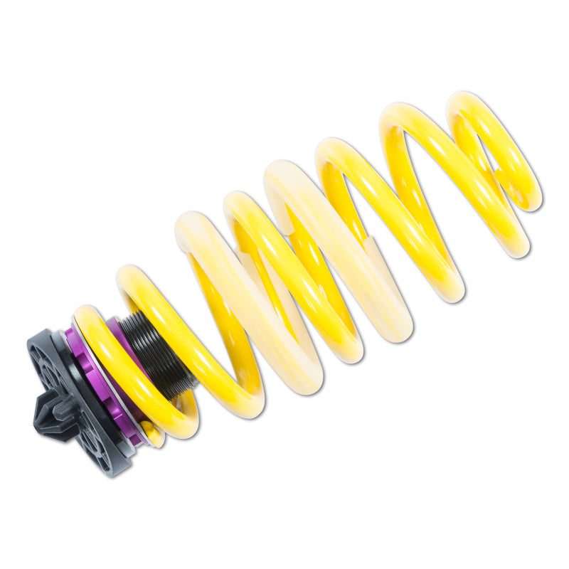 KW H.A.S. Ausi RS5 w/ DRC KW H.A.S. Ausi RS5 w/ DRC