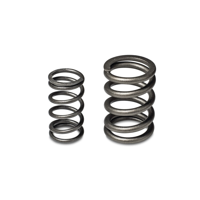 Skunk2 Tuner Series Honda/Acura (B16A/ B17A/ B18C) DOHC VTEC Alpha Valve Spring Set (Dual Springs) Skunk2 Tuner Series Honda/Acura (B16A/ B17A/ B18C) DOHC VTEC Alpha Valve Spring Set (Dual Springs)