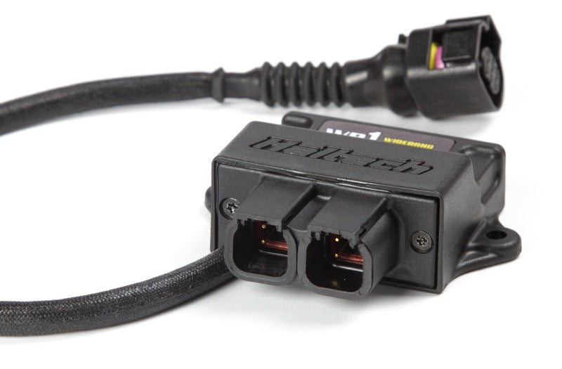 Haltech WB1 Single Channel CAN O2 Wideband Controller Kit Haltech WB1 Single Channel CAN O2 Wideband Controller Kit