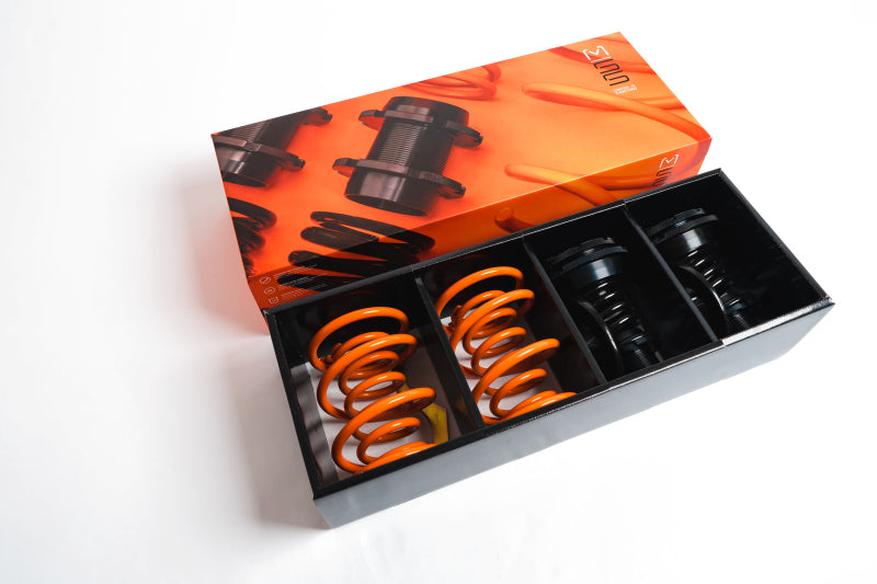 MSS 12-20 Audi A3 / S3 / RS3 Track Full Adjustable Kit MSS 12-20 Audi A3 / S3 / RS3 Track Full Adjustable Kit