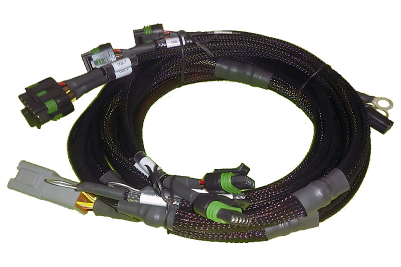Haltech 8 Channel Individual High Output IGN-1A Inductive Coil Harness Haltech 8 Channel Individual High Output IGN-1A Inductive Coil Harness