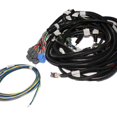 FAST Wiring Harness Main LS1LS2L