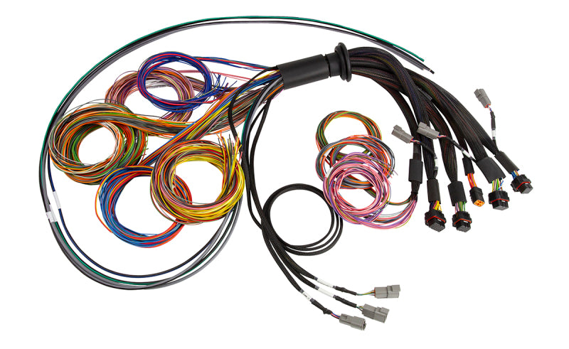 Haltech NEXUS R5 Universal Wire-In Harness - 2.5M (8ft) Haltech NEXUS R5 Universal Wire-In Harness - 2.5M (8ft)