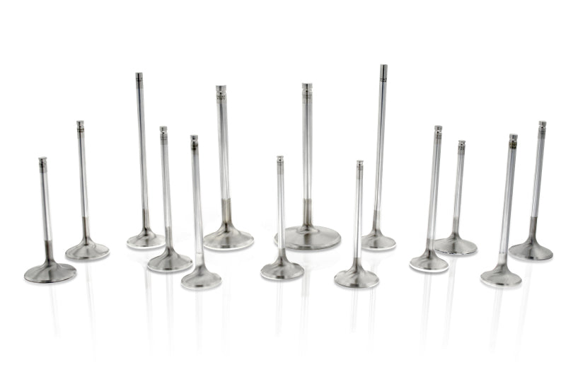 Ferrea Chevy SB 2.02in 11/32in 4.96in 12 Deg S-Flo +.050 Competition Plus Intake Valve - Set of 8 Ferrea Chevy SB 2.02in 11/32in 4.96in 12 Deg S-Flo +.050 Competition Plus Intake Valve - Set of 8