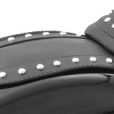 Mustang 06-10 Harley Softail FXST, 07-17 FLSTF Fender Bib w/Studs - Black