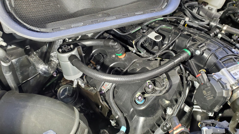 J&L 15-24 Ford Transit 150/250/350 3.5L EcoBoost Passenger Side Oil Separator 3.0 - Clear Anodiz J&L 15-24 Ford Transit 150/250/350 3.5L EcoBoost Passenger Side Oil Separator 3.0 - Clear Anodiz