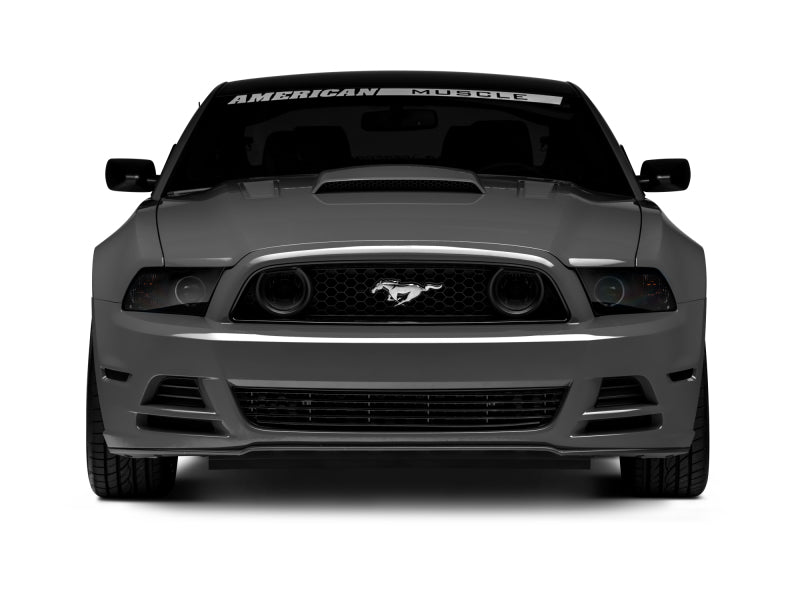 Raxiom 13-14 Ford Mustang GT CCFL Halo Fog Lights (Smoked) Raxiom 13-14 Ford Mustang GT CCFL Halo Fog Lights (Smoked)