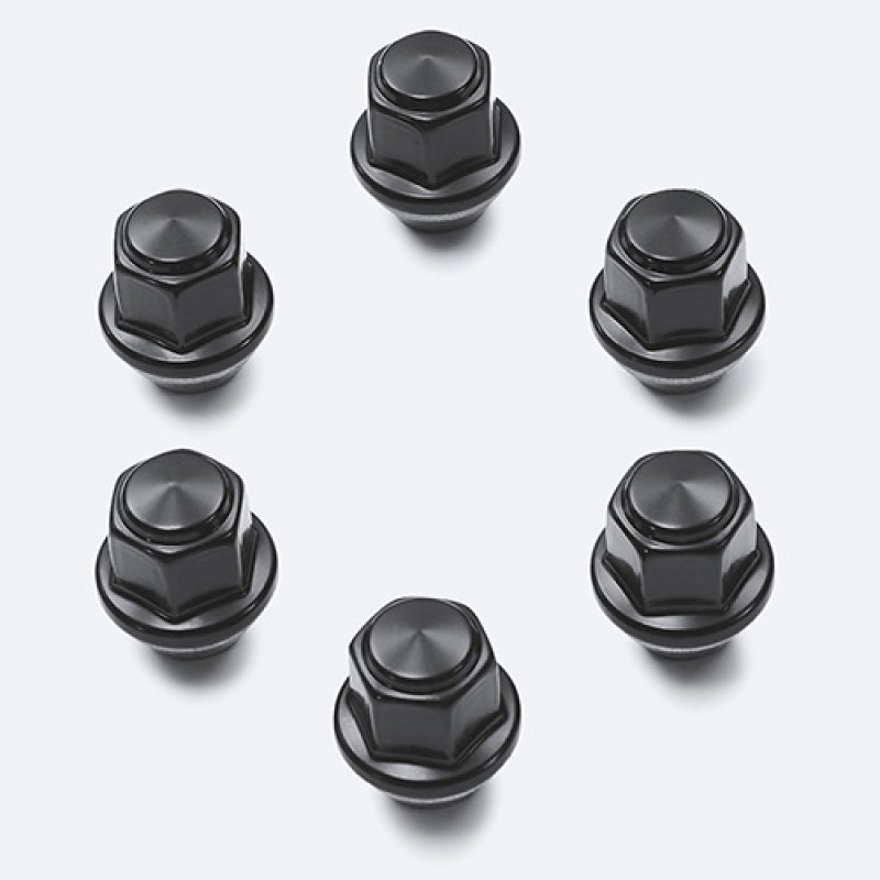 Ford Racing M12 x 1.5 Black Lug Nut - Set of 6 Ford Racing M12 x 1.5 Black Lug Nut - Set of 6