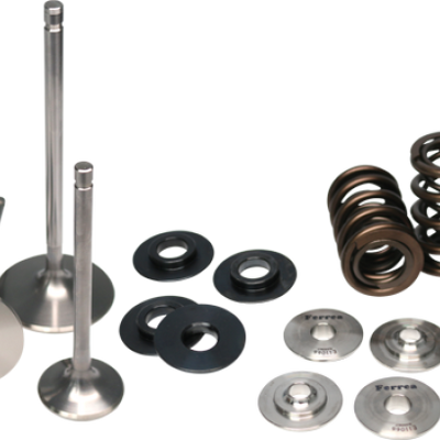 Ferrea 09-13 Audi 2.0L TFSI Single Spring Kit