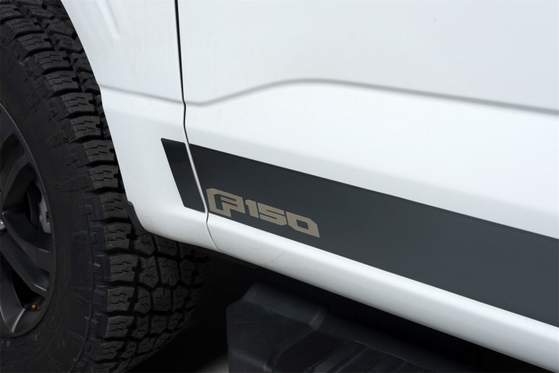 Putco 2021 Ford F-150 Super Crew 6.5ft Box Ford Licensed Blk Platinum Rocker Panels (4.25in 12pc) Putco 2021 Ford F-150 Super Crew 6.5ft Box Ford Licensed Blk Platinum Rocker Panels (4.25in 12pc)