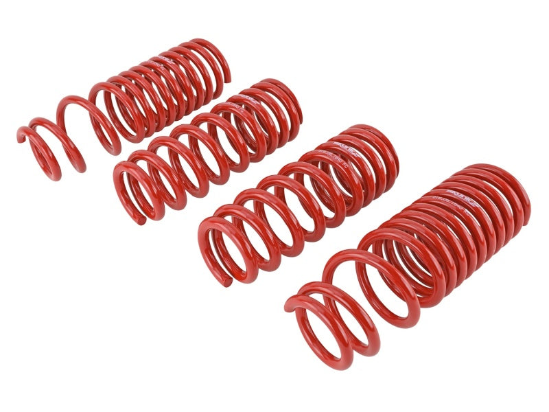 Skunk2 90-93 Acura Integra Lowering Springs (2.50in - 2.25in.) (Set of 4) Skunk2 90-93 Acura Integra Lowering Springs (2.50in - 2.25in.) (Set of 4)