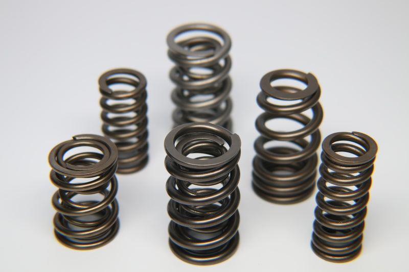 Ferrea 1.225in to 1.570in Dia 1.005/1.43 OD 0.73/1.07 ID Dual w/Damper Valve Spring- Sngl (D/S Only) Ferrea 1.225in to 1.570in Dia 1.005/1.43 OD 0.73/1.07 ID Dual w/Damper Valve Spring- Sngl (D/S Only)