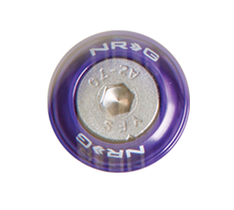 NRG Fender Washer Kit w/Rivets For Metal (Purple) - Set of 10 NRG Fender Washer Kit w/Rivets For Metal (Purple) - Set of 10