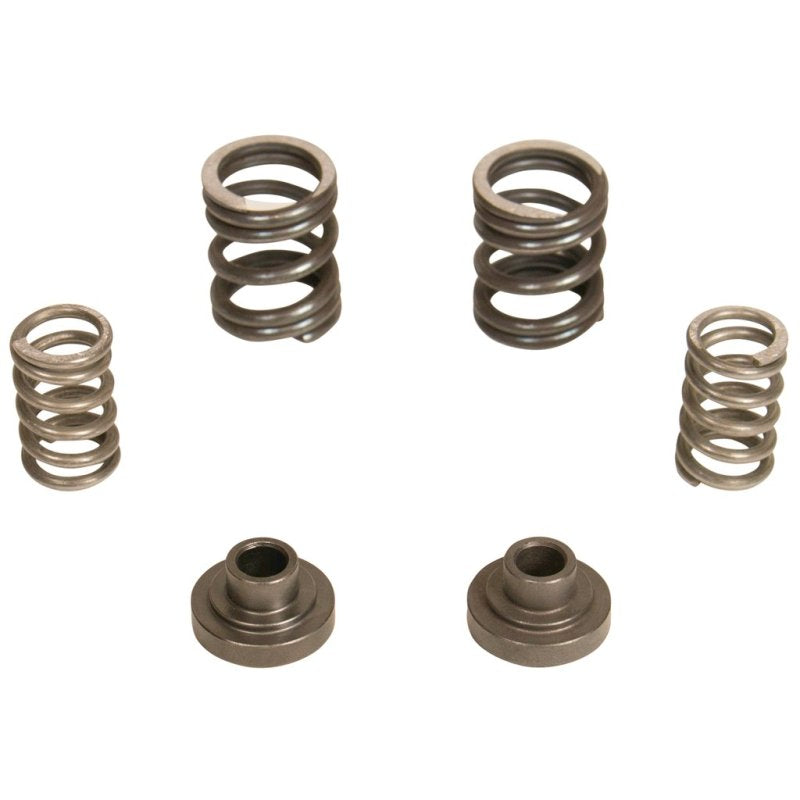 BD Diesel Governor Spring Kit 3000rpm - 1994-1998 Dodge 12-valve/P7100 Pump BD Diesel Governor Spring Kit 3000rpm - 1994-1998 Dodge 12-valve/P7100 Pump