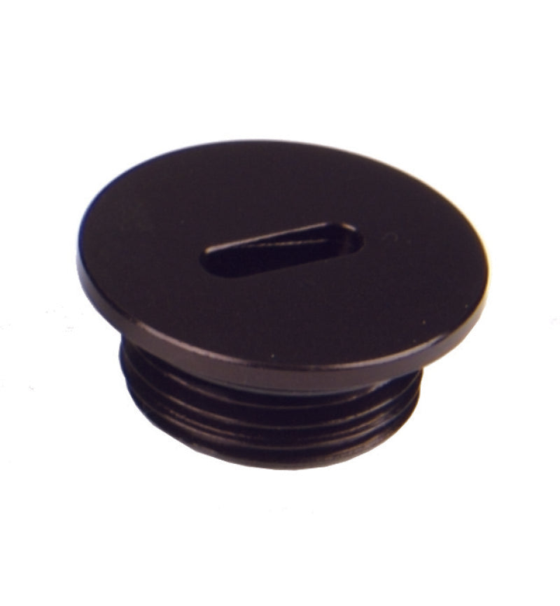 Aeromotive AN-08 O-Ring Boss - Slim Line - Port Plug Aeromotive AN-08 O-Ring Boss - Slim Line - Port Plug