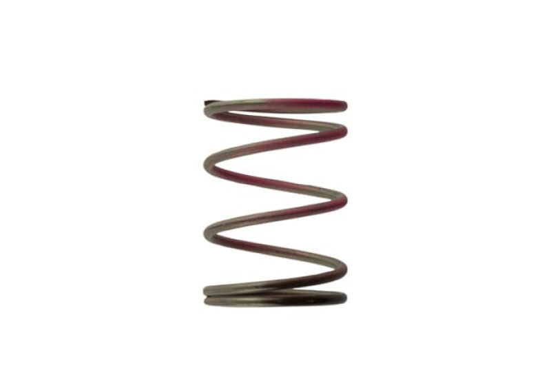 Turbosmart 2011 WG38/40/45 7PSI Outer Spring Brown/Pink Turbosmart 2011 WG38/40/45 7PSI Outer Spring Brown/Pink