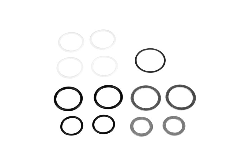 Aeromotive Rebuild Kit - Fuel Log (14201/14202) Aeromotive Rebuild Kit - Fuel Log (14201/14202)