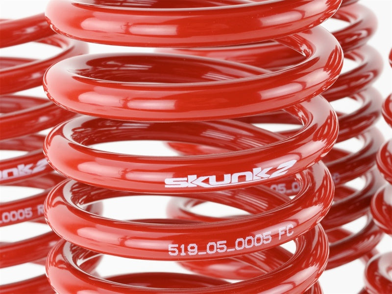 Skunk2 96-00 Honda Civic Lowering Springs (2.50in - 2.25in.) (Set of 4) Skunk2 96-00 Honda Civic Lowering Springs (2.50in - 2.25in.) (Set of 4)