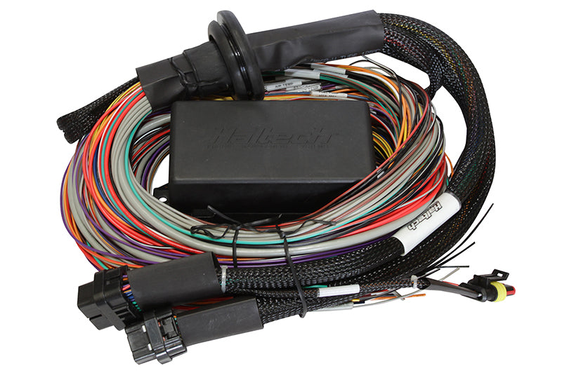 Haltech Elite 1500 Premium Universal Wire-In Harness - 2.5m (8ft) Haltech Elite 1500 Premium Universal Wire-In Harness - 2.5m (8ft)