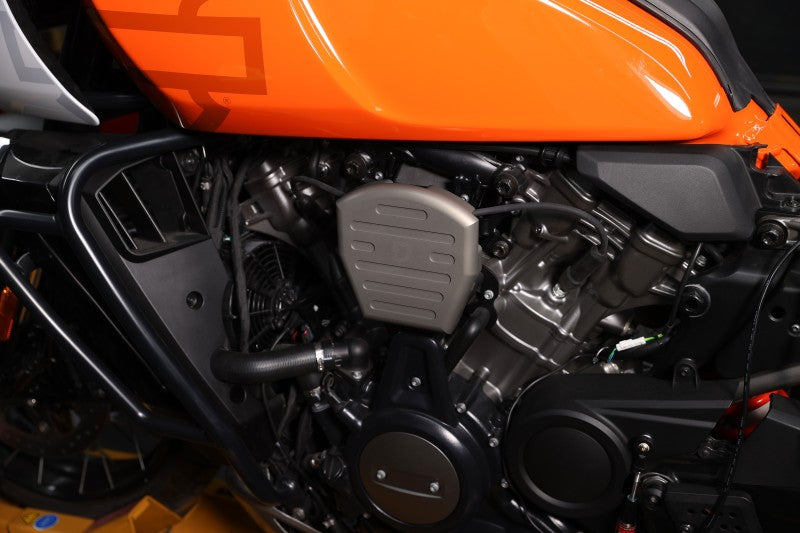 Dynojet Pan America Ignition Coil Guard Dynojet Pan America Ignition Coil Guard