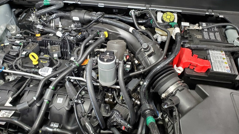 J&L 19-24 Ford/Lincoln SUVs & Trucks w 2.0 EcoBoost Driver Side Oil Separator 3.0 - Clear An J&L 19-24 Ford/Lincoln SUVs & Trucks w 2.0 EcoBoost Driver Side Oil Separator 3.0 - Clear An