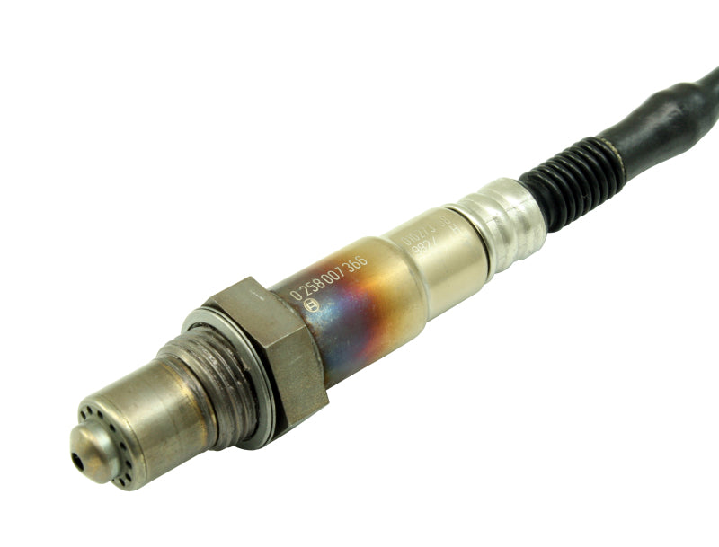 AEM Bosch UEGO Replacement Sensor AEM Bosch UEGO Replacement Sensor