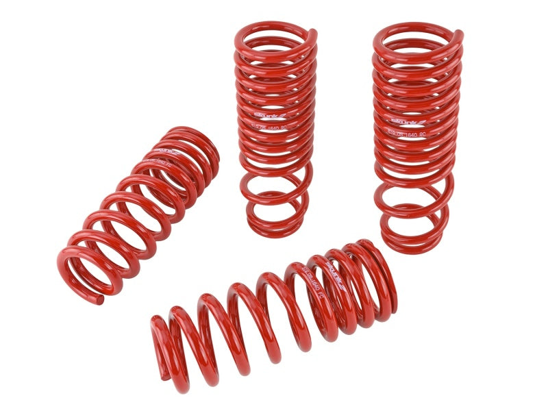 Skunk2 90-93 Acura Integra Lowering Springs (2.50in - 2.25in.) (Set of 4) Skunk2 90-93 Acura Integra Lowering Springs (2.50in - 2.25in.) (Set of 4)