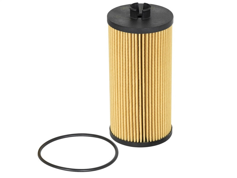 aFe ProGuard D2 Fluid Filters Oil F/F OIL Ford Diesel Trucks 03-10 V8-6.0/6.4L (td) aFe ProGuard D2 Fluid Filters Oil F/F OIL Ford Diesel Trucks 03-10 V8-6.0/6.4L (td)