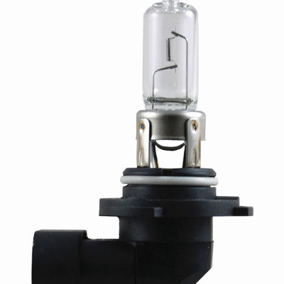 Hella Bulb 9005 12V 65W P20D T4 +50 (2)